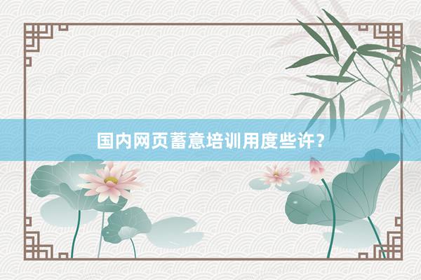 国内网页蓄意培训用度些许？